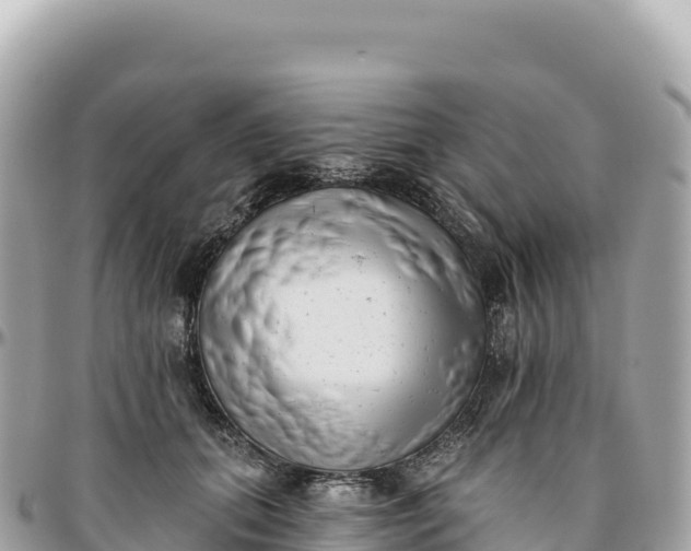 X0000095880655200801251141