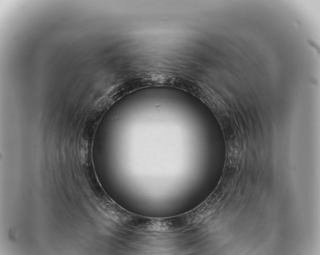 X0000095880656200801251141