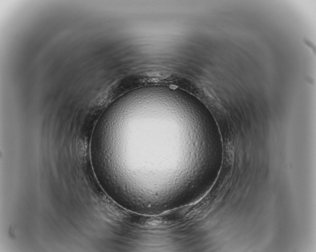 X0000095880657200801251141