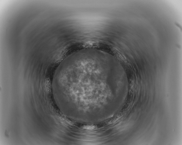 X0000095880659200801251141