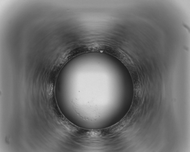 X0000095880660200801251141