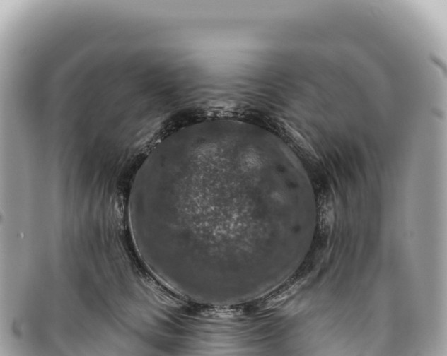 X0000095880661200801251141