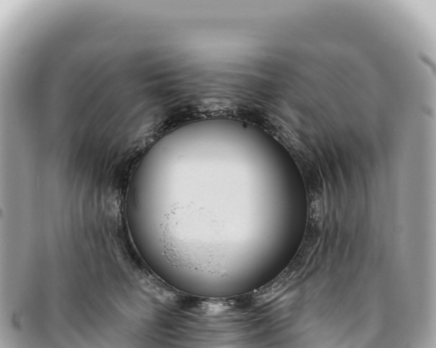 X0000095880662200801251141