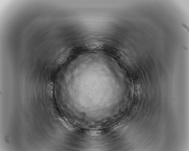 X0000095880664200801251141