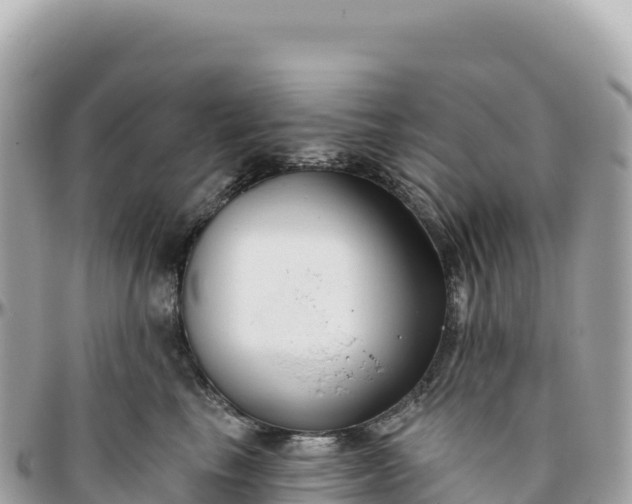 X0000095880665200801251141