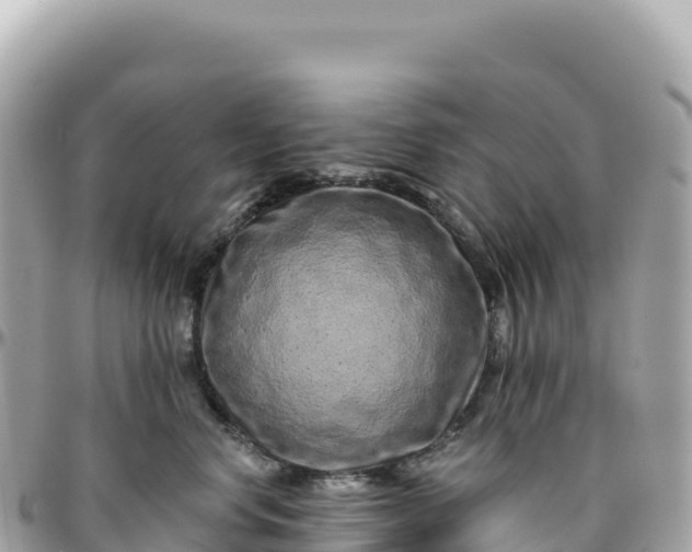 X0000095880668200801251142