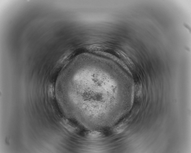 X0000095880669200801251142