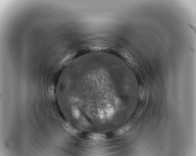 X0000095880670200801251142