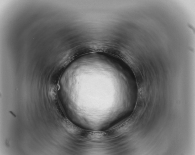 X0000095880671200801251142