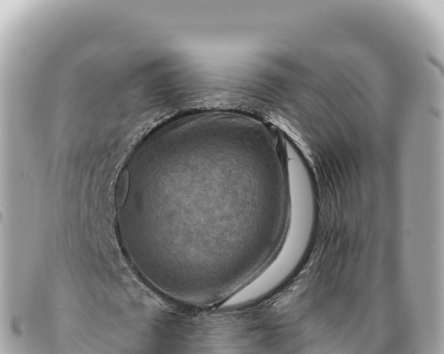 X0000095880673200801251141