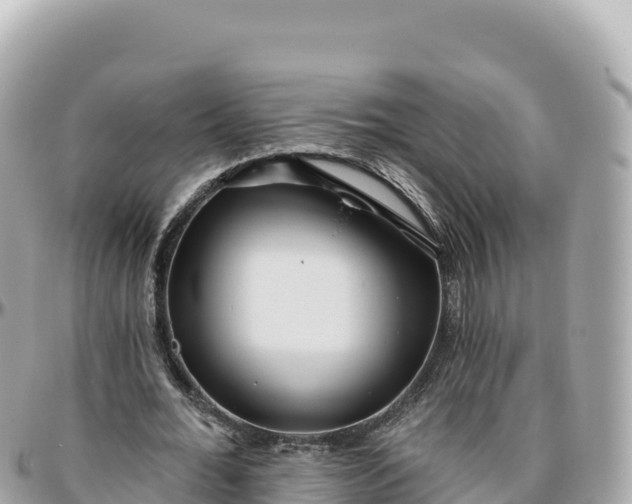 X0000095880676200801251141