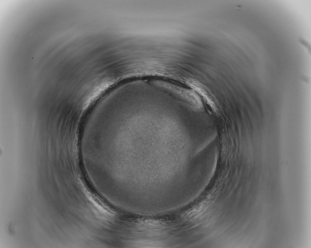 X0000095880677200801251141