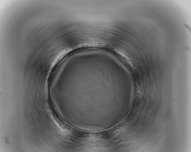 X0000095880678200801251141