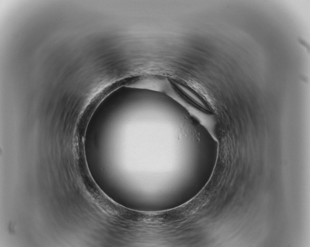 X0000095880680200801251141