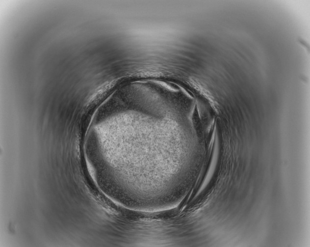 X0000095880681200801251141