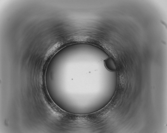 X0000095880682200801251141