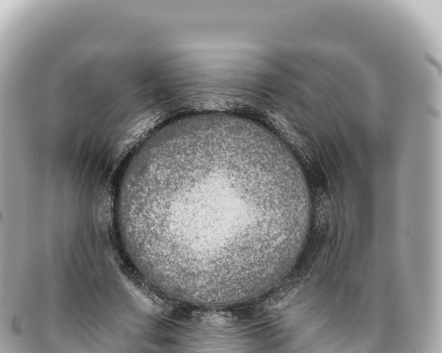 X0000095880683200801251141