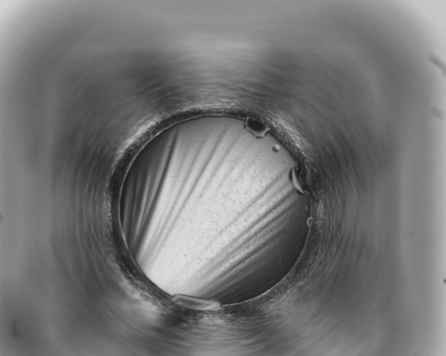 X0000095880684200801251141