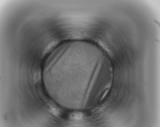 X0000095880685200801251141