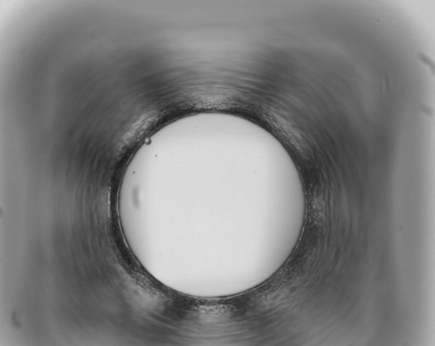 X0000095880686200801251141