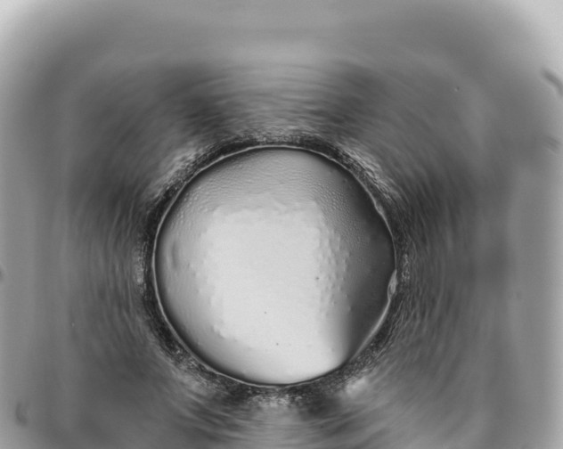 X0000095880687200801251141