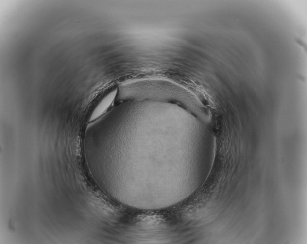 X0000095880689200801251141