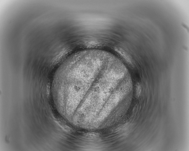 X0000095880691200801251141