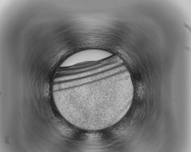 X0000095880693200801251141