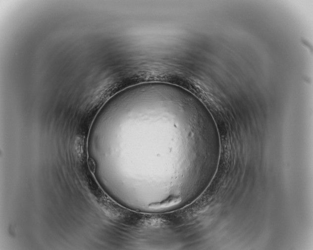 X0000095880695200801251141