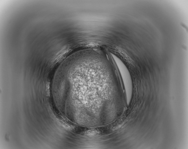 X0000095880696200801251141