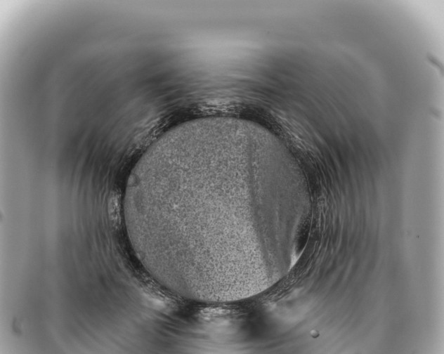 X0000095880699200801251141