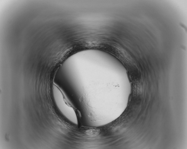 X0000095880700200801251141