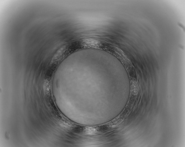 X0000095880701200801251141