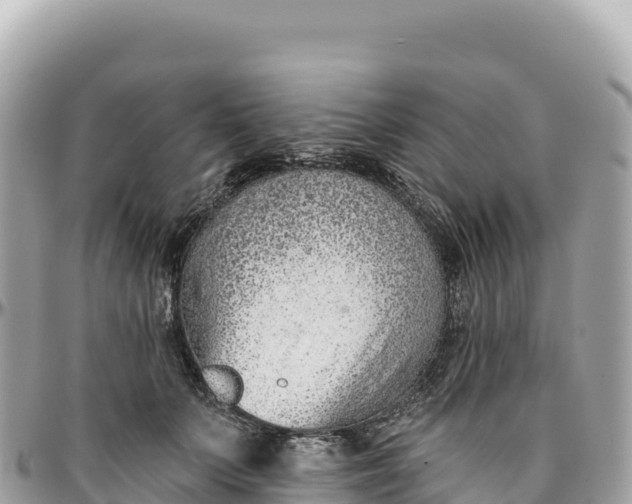 X0000095880703200801251141