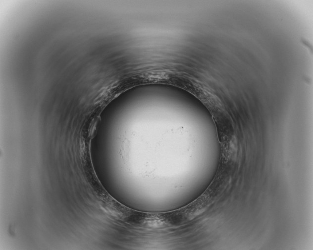 X0000095880704200801251141