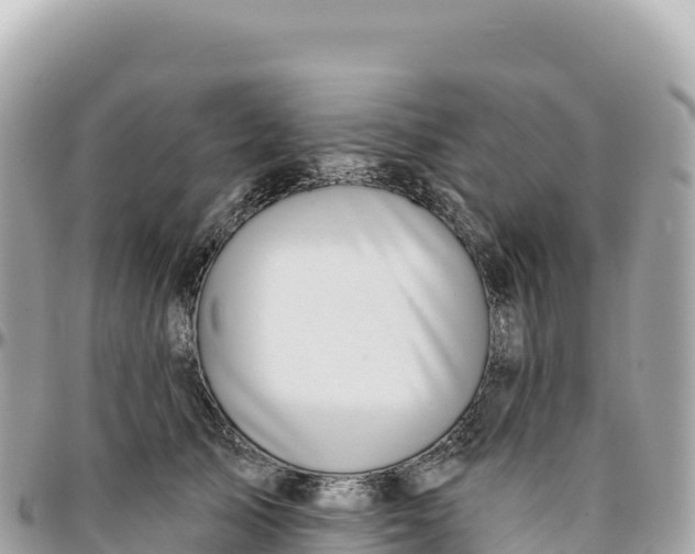 X0000095880705200801251140