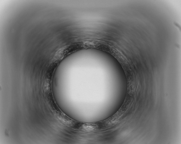 X0000095880706200801251140