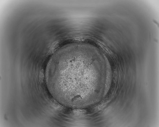 X0000095880707200801251140