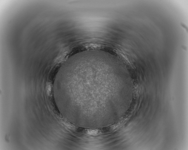 X0000095880709200801251140