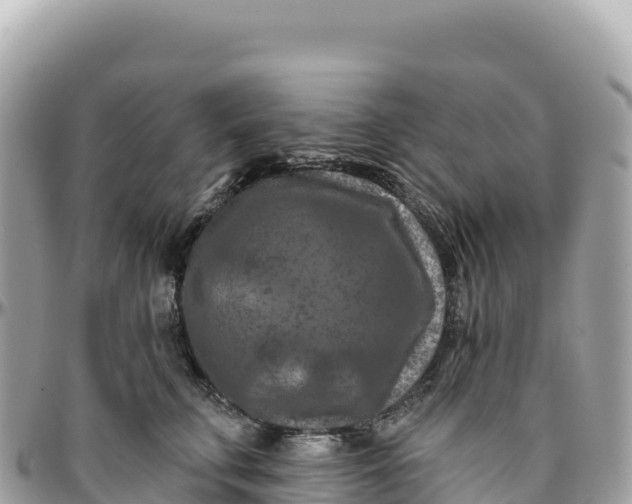 X0000095880711200801251140