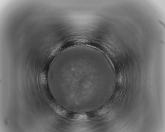 X0000095880715200801251140