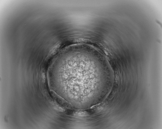 X0000095880716200801251140