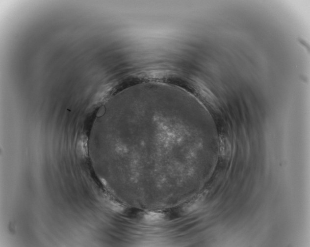 X0000095880718200801251140