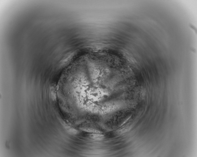 X0000095880719200801251140