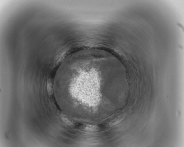 X0000095880720200801251140