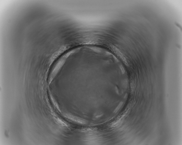 X0000095880721200801251139