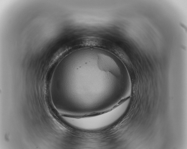 X0000095880722200801251139