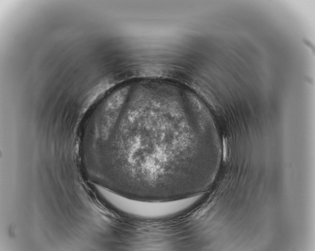 X0000095880723200801251139