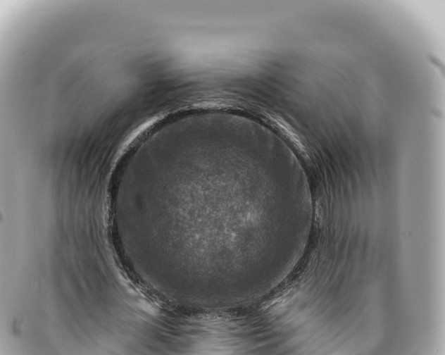 X0000095880724200801251139