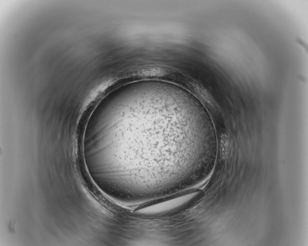 X0000095880726200801251140